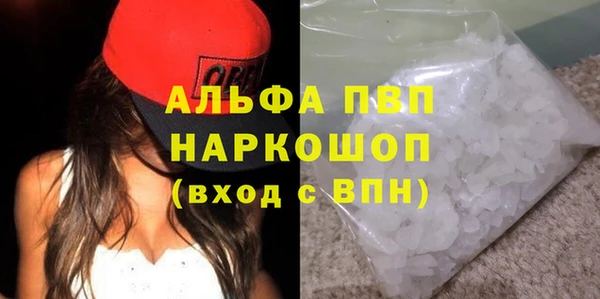 индика Михайлов