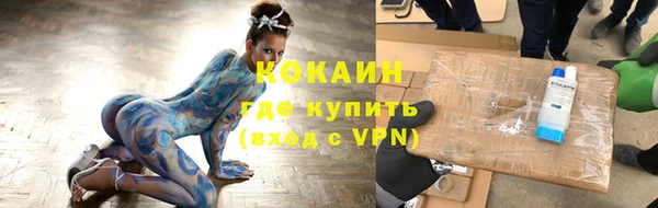 индика Михайлов